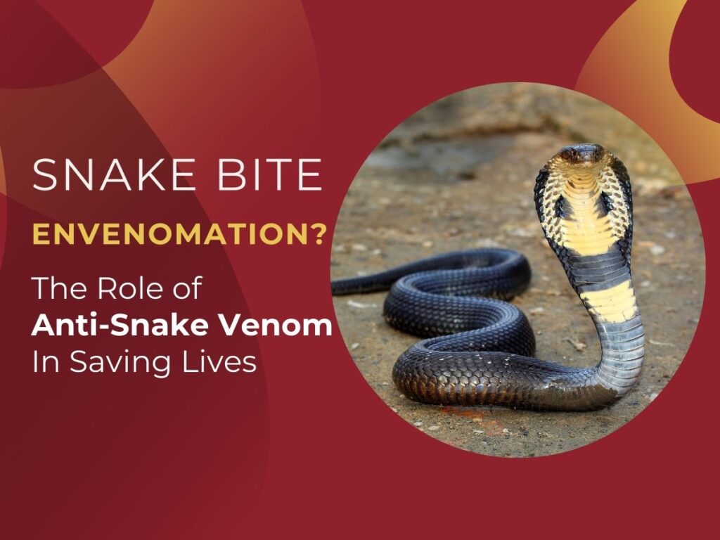 Snake Bite Envenomation and the Role of Anti-Snake Venom in Saving Lives